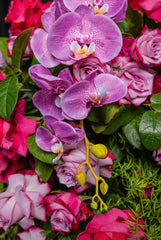 Designer’s Edition – Premium Valentine’s Arrangement