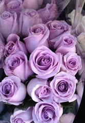Natural Purple Roses